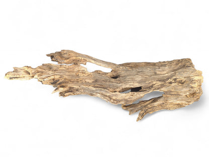Weather-bleached driftwood piece, gnarled and textured, displaying varied light brown, beige, and gray tones.