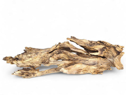 An elongated piece of gnarled, weathered driftwood with varied light and dark brown textures.