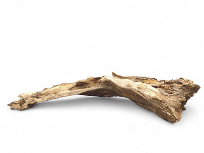 Gnarled, elongated driftwood piece with deeply textured, weathered surface, displaying light brown and beige tones.