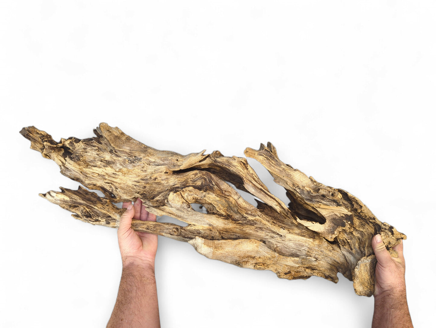 Two hands grasp a large, gnarled driftwood piece, showing light brown, beige, and dark weathered textures.