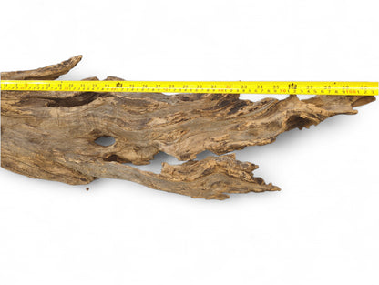 Rough, bleached brown driftwood with a textured surface and holes, measured by a yellow tape.