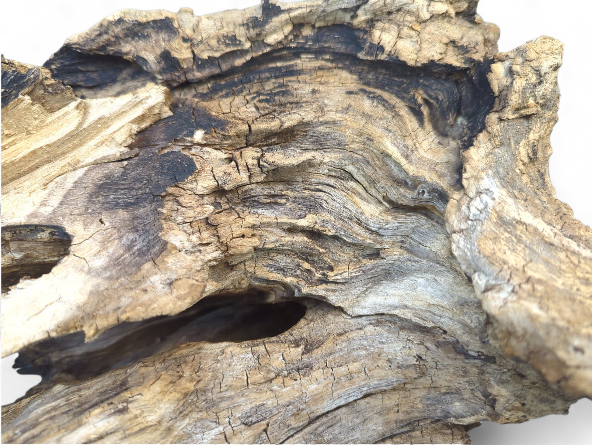 Detailed close-up of deeply weathered driftwood, with gnarled textures, cracks, and wavy patterns in brown and black.