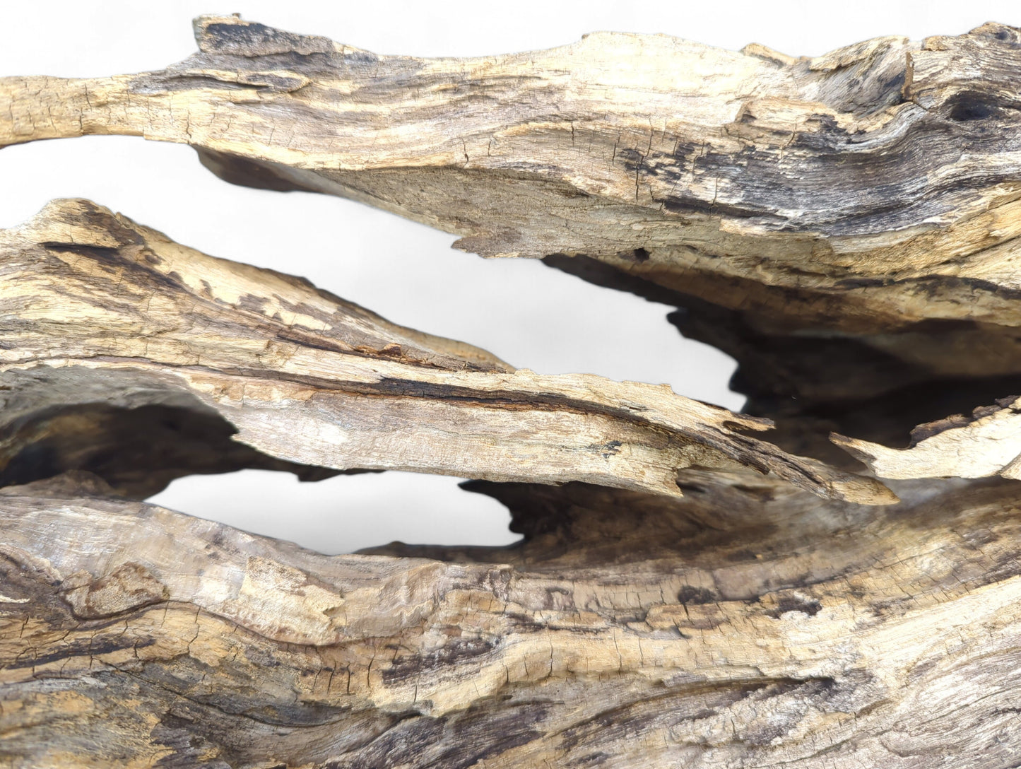 Weathered driftwood close-up showing gnarled textures, deep cracks, and natural openings in brown, beige, and gray.