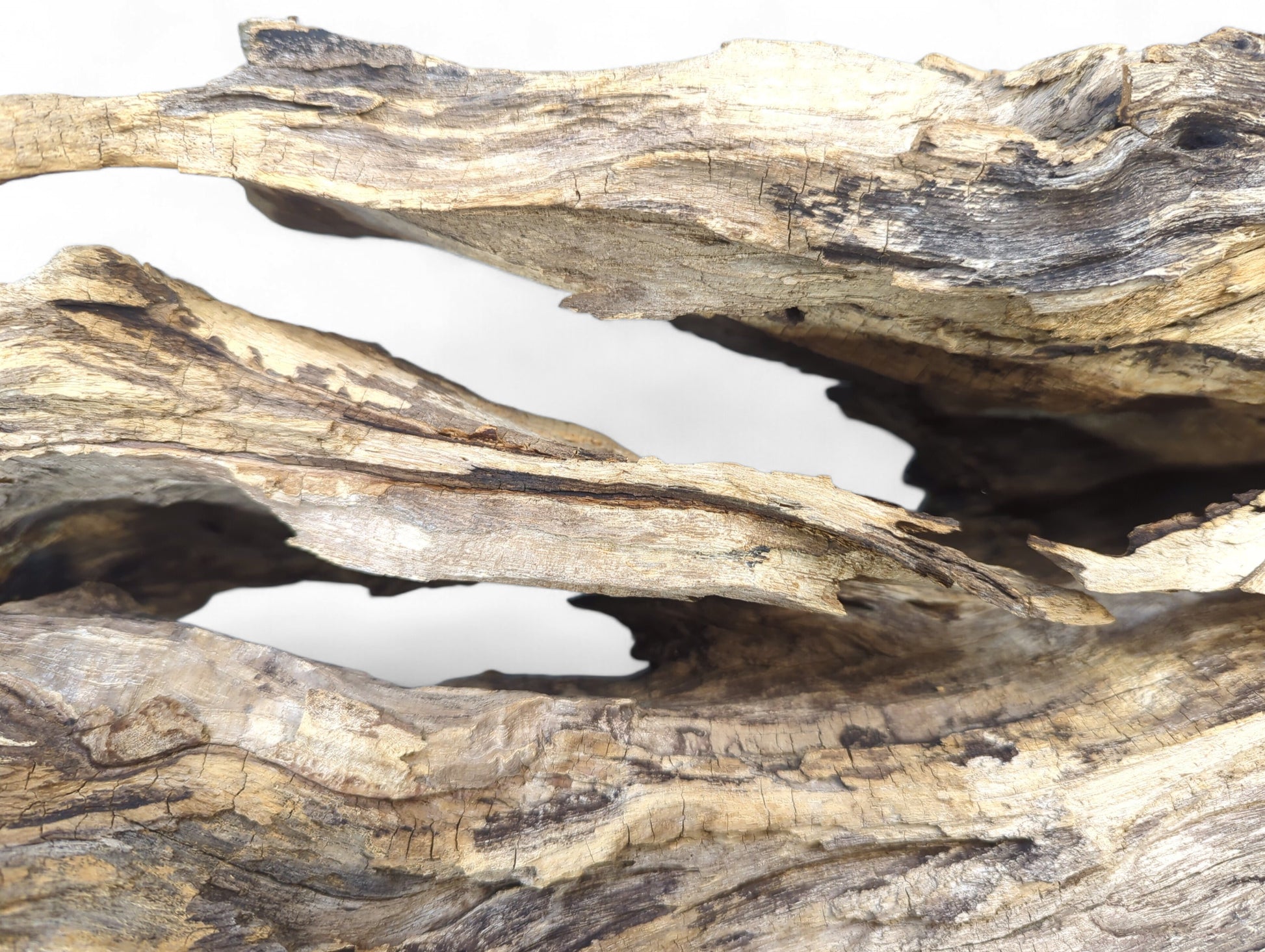 Weathered driftwood close-up showing gnarled textures, deep cracks, and natural openings in brown, beige, and gray.