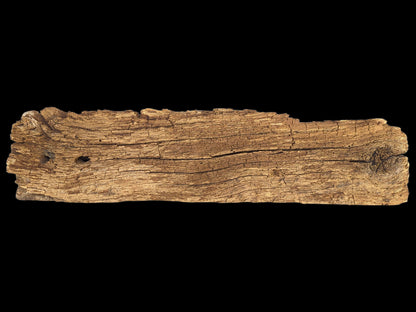 Horizontal brown wood fragment shows extensive cracks, a crumbly, flaking surface, and a knot.