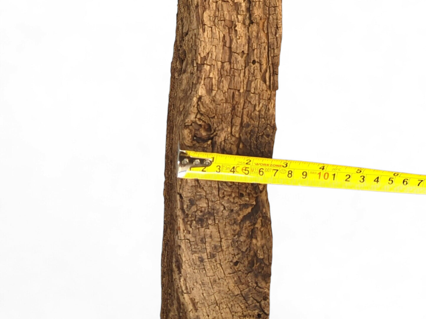 Vertical, rustic brown wood fragment with a flaking, crumbly surface, measured by a yellow tape.