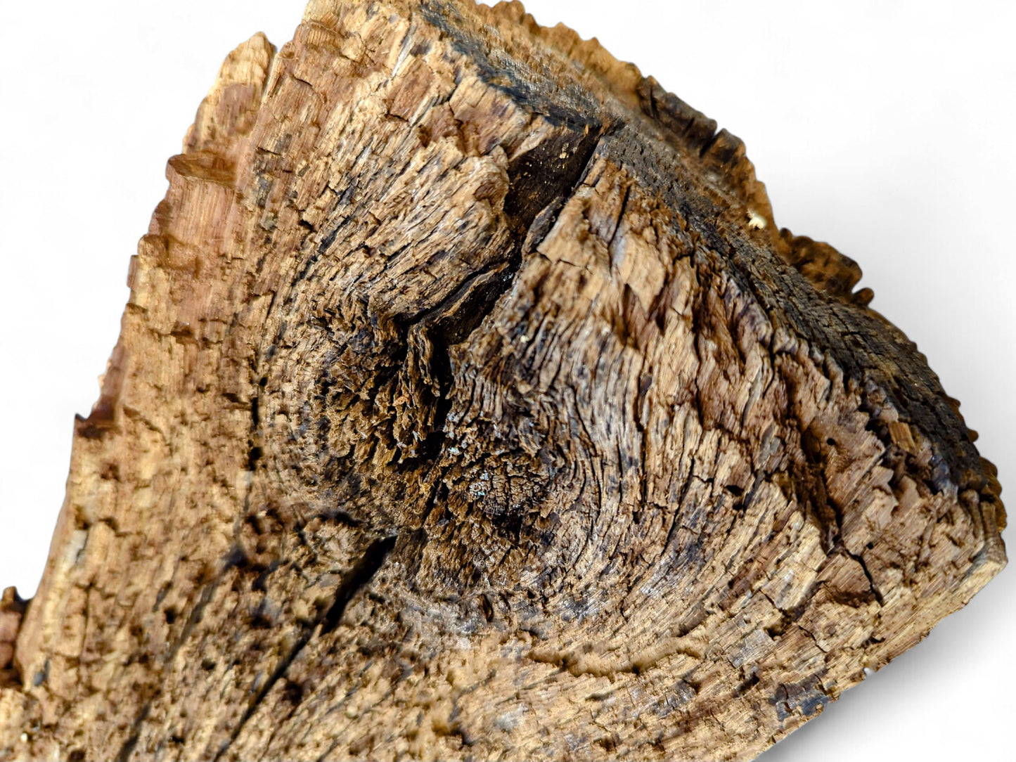 Deeply textured, dark brown reclaimed wood fragment with extensive cracks and a crumbly, flaking surface.