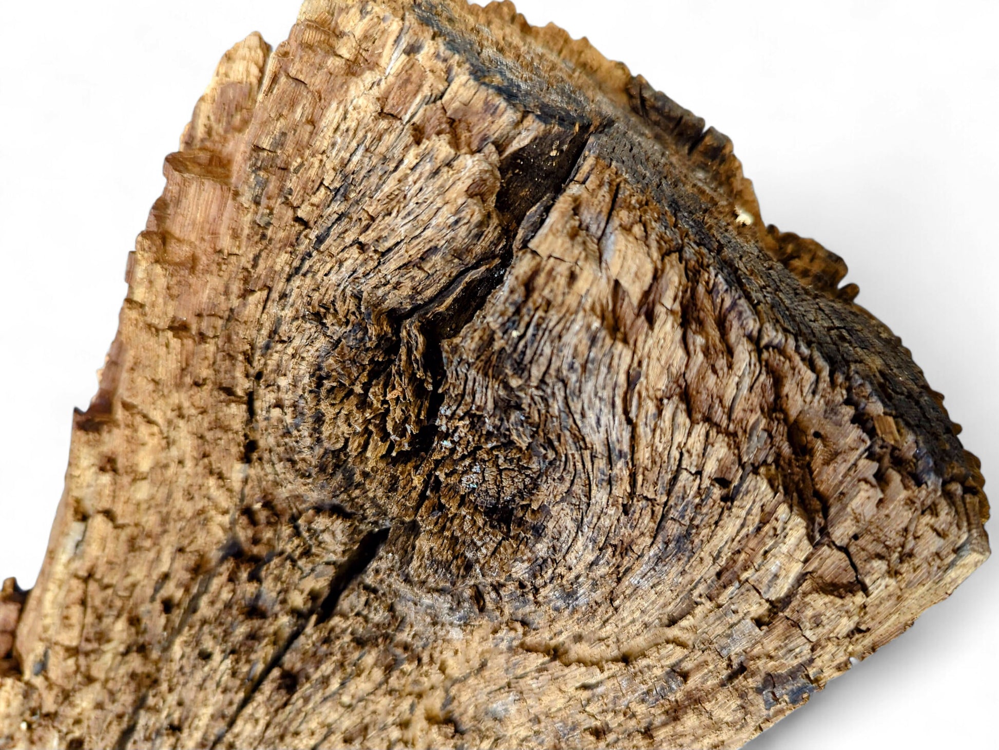 Deeply textured, dark brown reclaimed wood fragment with extensive cracks and a crumbly, flaking surface.