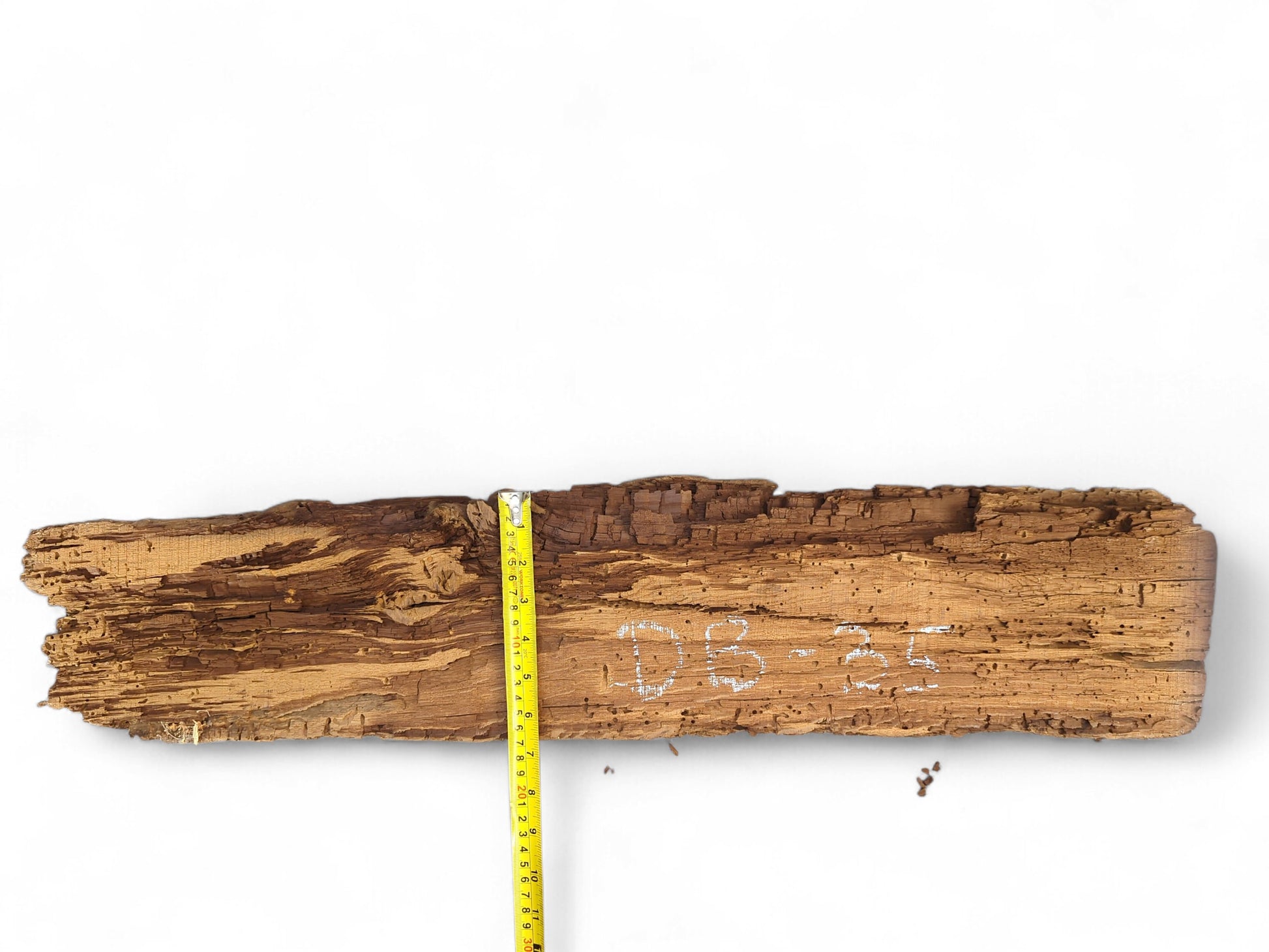 Long, golden-brown wood fragment, deeply textured, flaking surface, with measuring tape and DB-35.