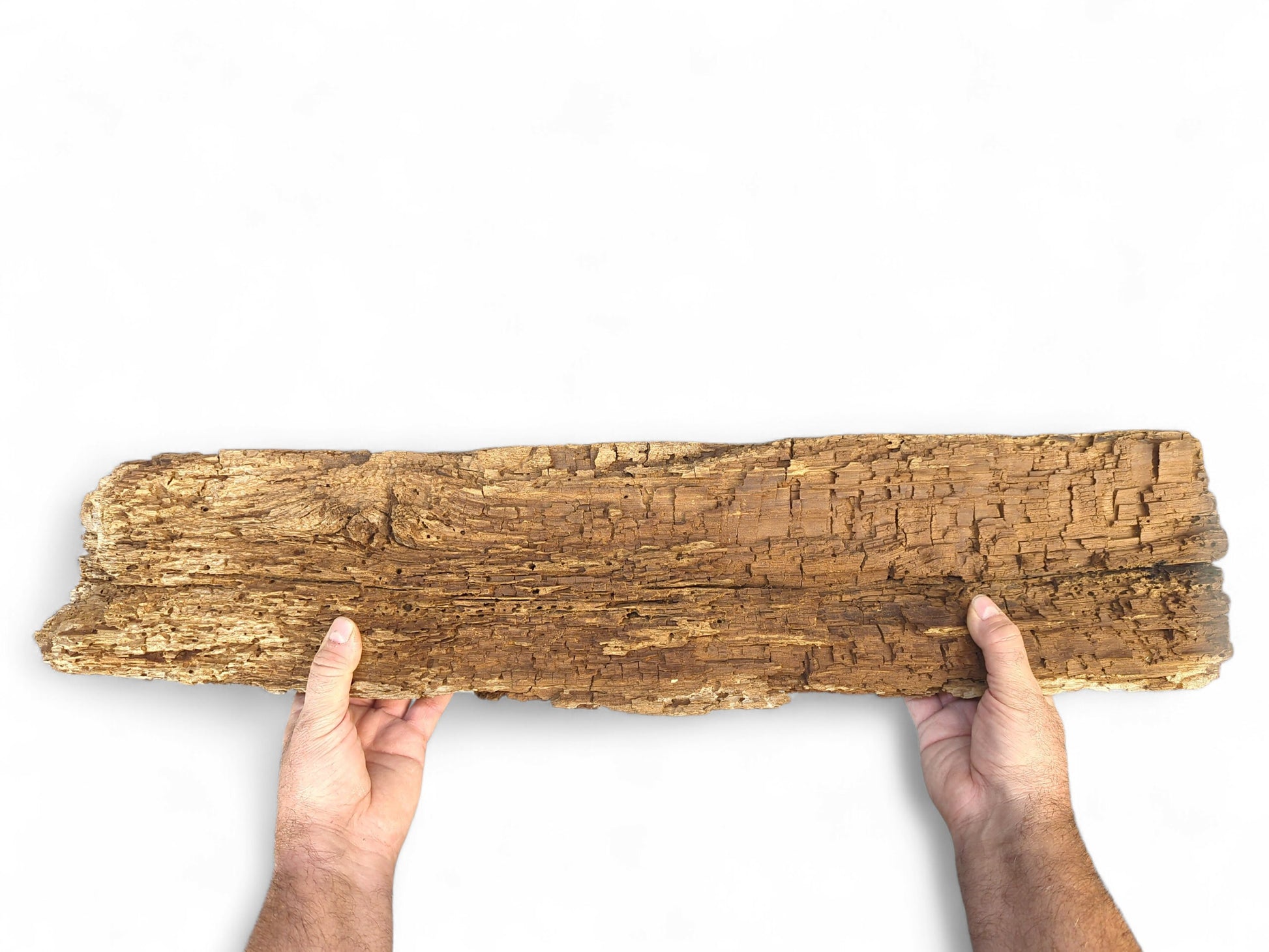 Two hands hold a long, golden-brown wood fragment, with a deeply textured, weathered, and flaking surface.