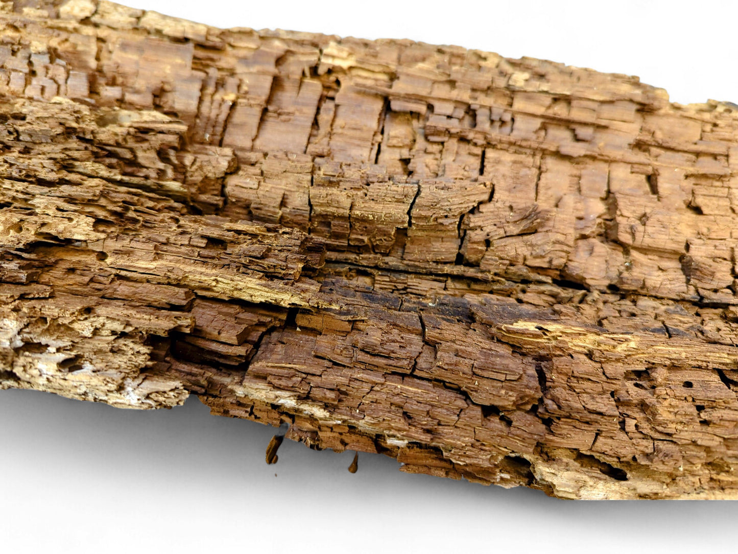 Close-up of an aged, golden-brown wood fragment with a crumbly, flaking, and deeply textured surface.