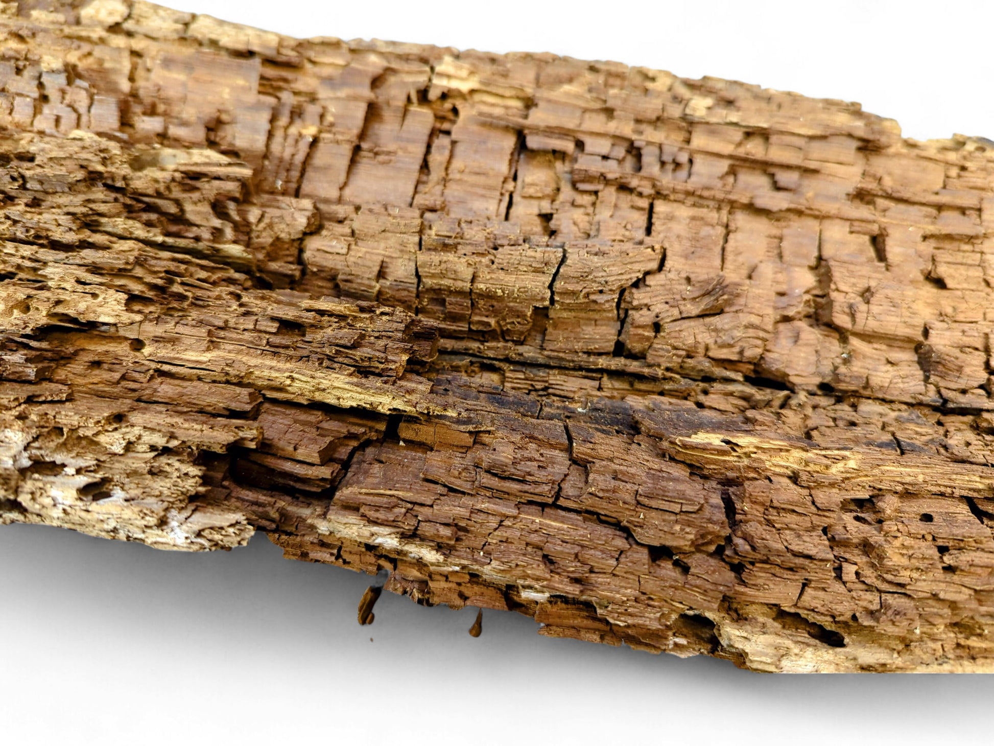 Close-up of an aged, golden-brown wood fragment with a crumbly, flaking, and deeply textured surface.