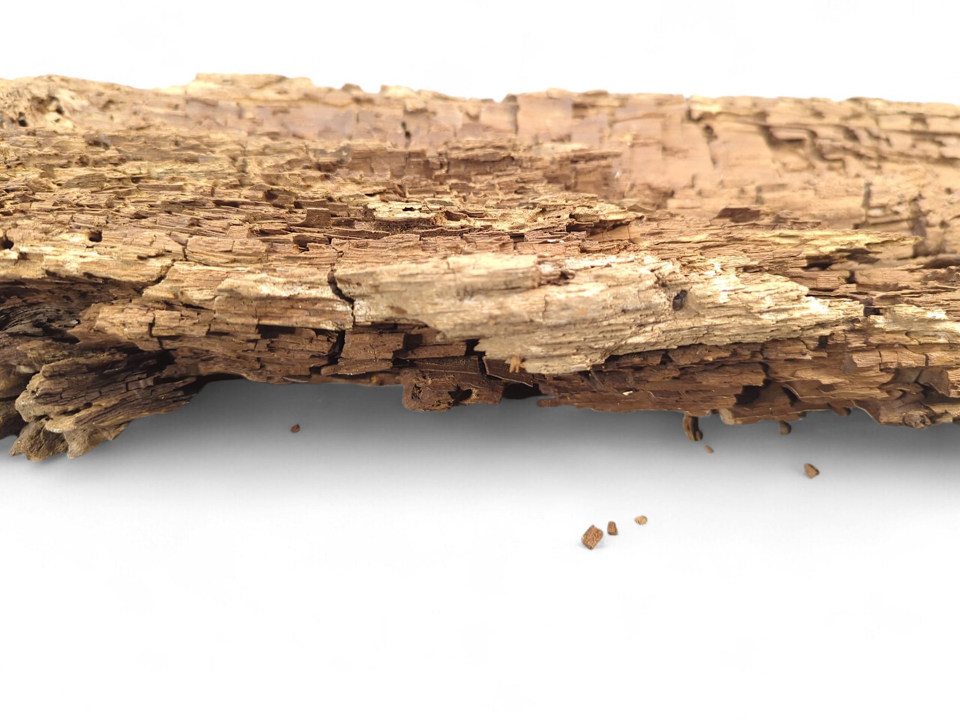 Untreated, weathered wood fragment, golden-brown with an extremely crumbly, fragile, and deeply flaking surface.
