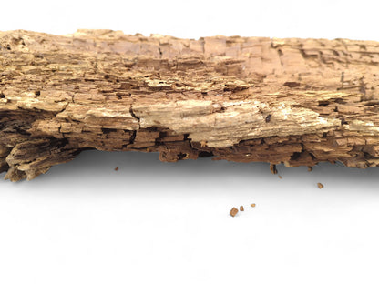 Untreated, weathered wood fragment, golden-brown with an extremely crumbly, fragile, and deeply flaking surface.