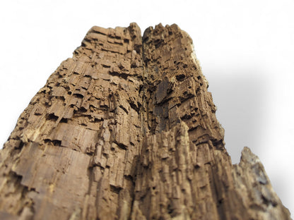 A dark brown, aged reclaimed wood fragment showing deeply textured, fragile, and flaking surfaces.