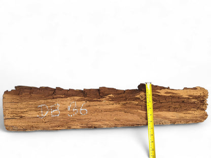 Weathered brown wood beam fragment with severe flaking, white 'DB 036' marking, and a yellow tape measure.