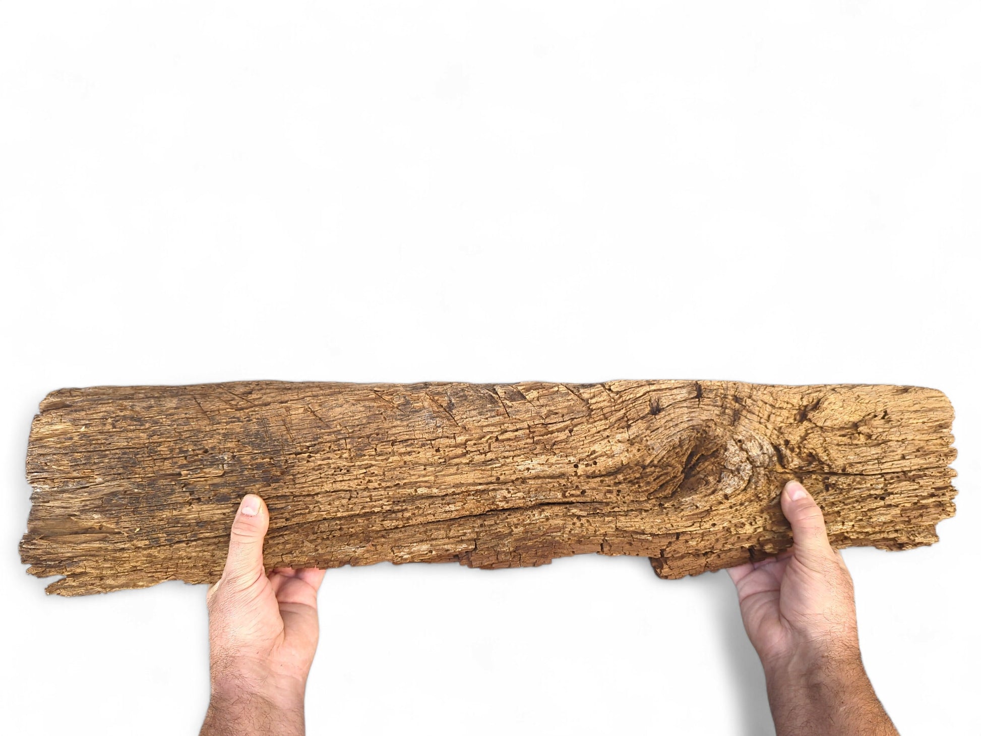 Weathered brown reclaimed wood beam fragment, flaking and crumbly, held by two hands on a white background.