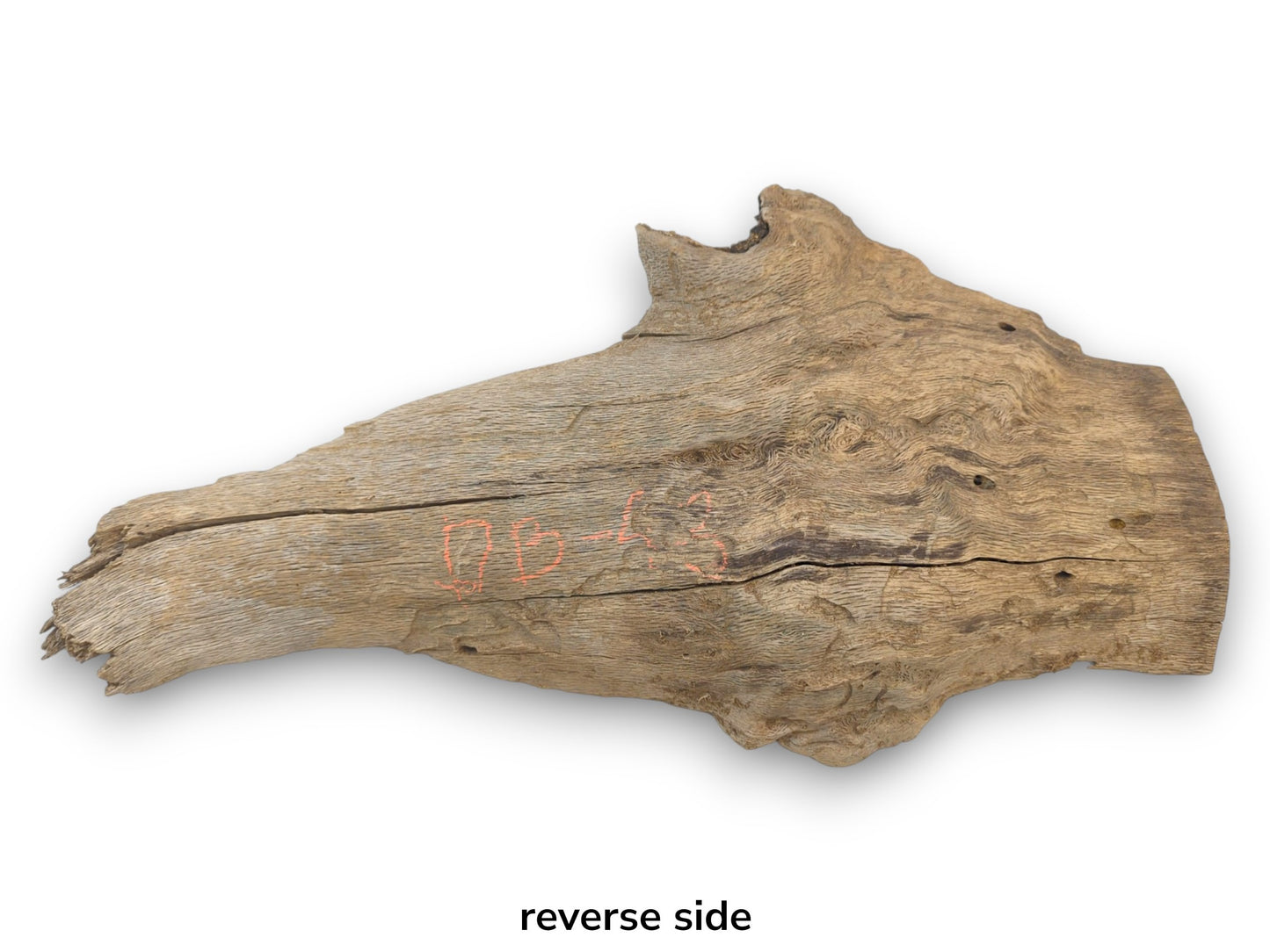 Reverse view of a raw oak piece with a weathered surface, figured grain, and red markings.