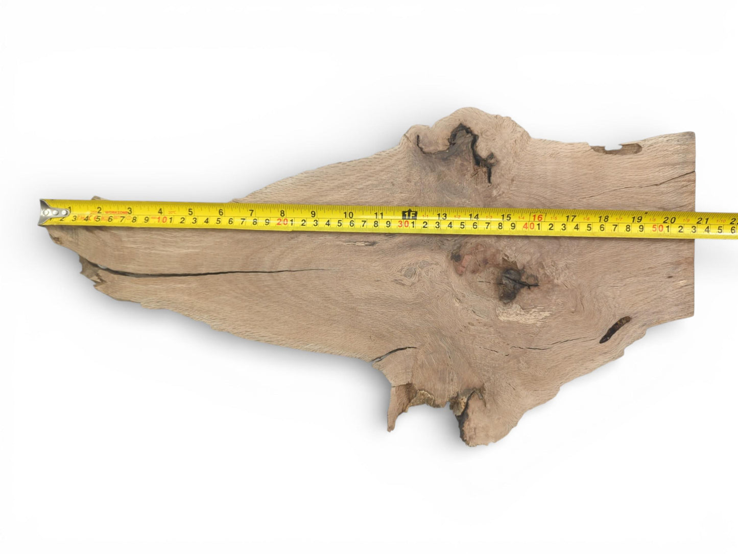 Top view of a live-edge oak slab with a yellow tape measure showing its full length.