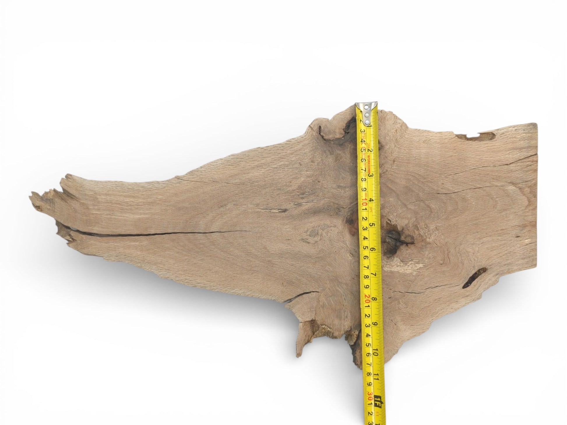 Overhead view of an irregular, unfinished oak plank with a measuring tape displaying its width dimension.