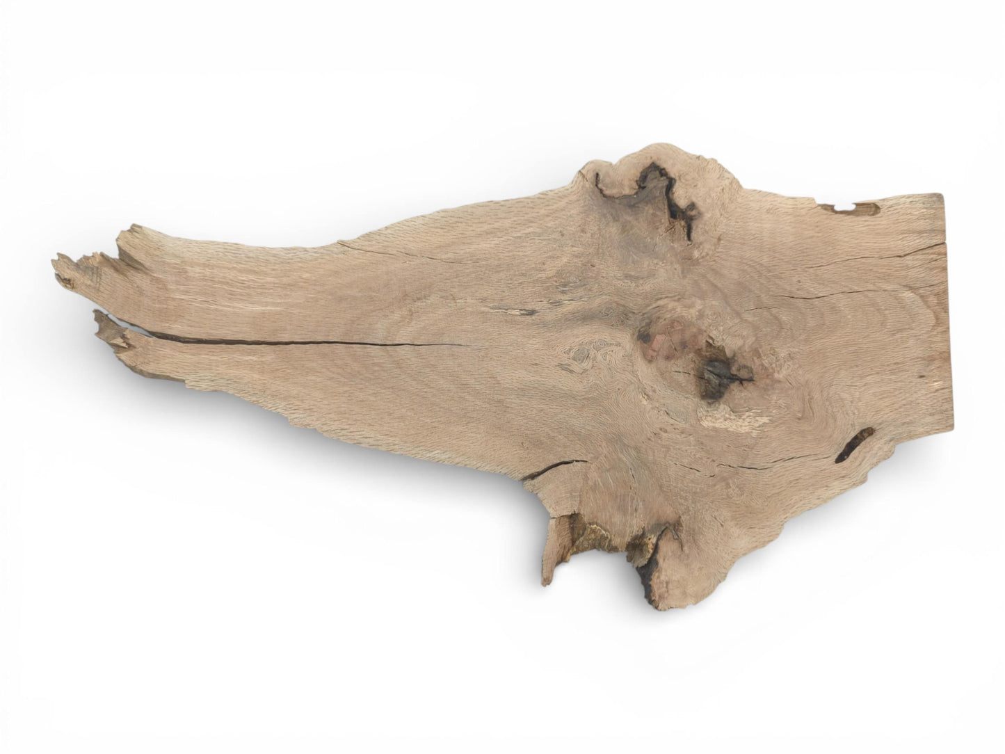 A raw, irregularly shaped oak slab with prominent knots and a long crack across its surface.