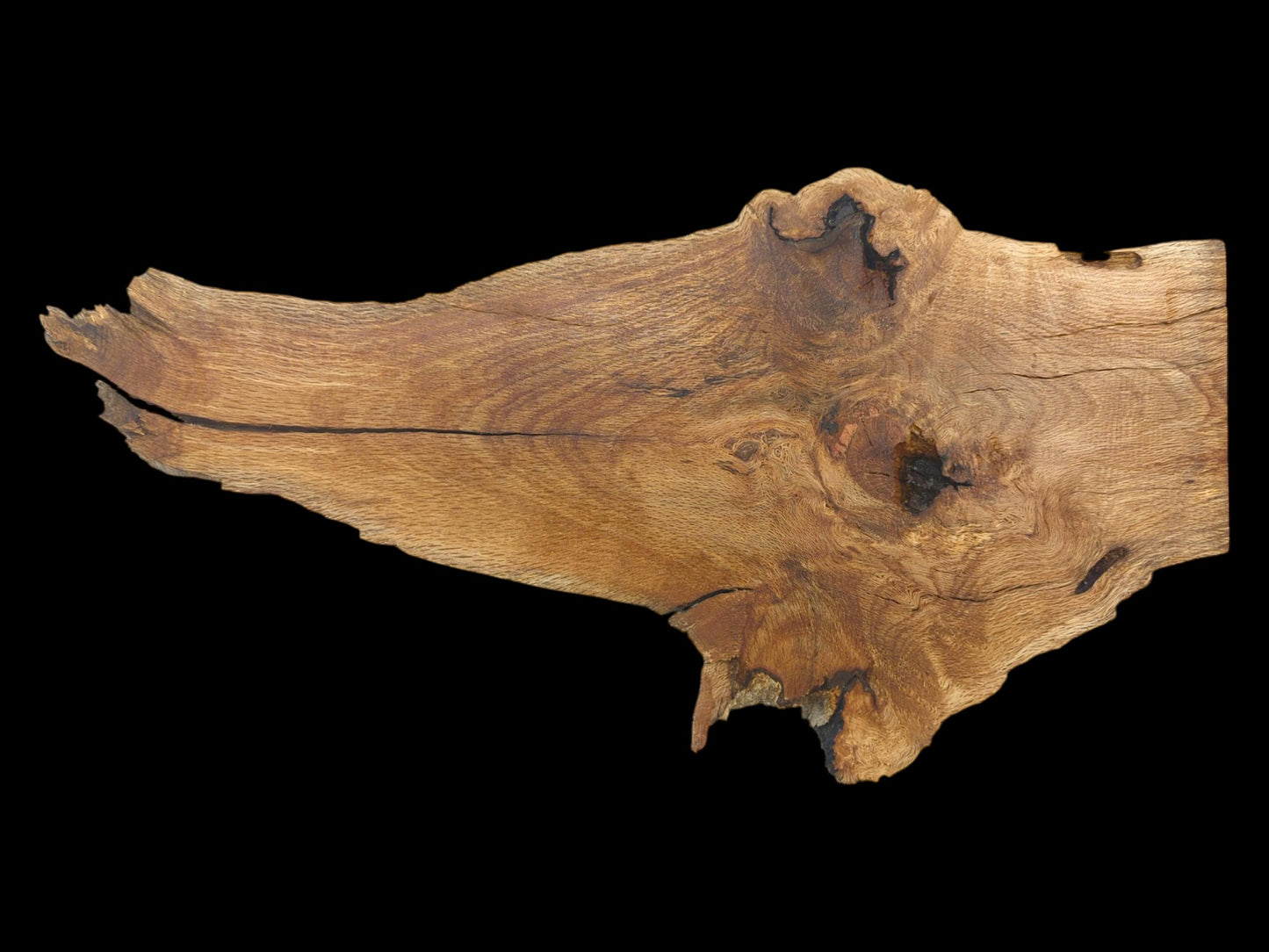 Overhead view of a uniquely shaped oak piece with dark knots, a central crack, and unrefined edges.