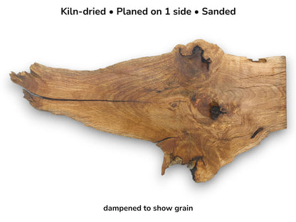 Image of a raw, dampened oak slab with text detailing its kiln-dried and sanded preparation.