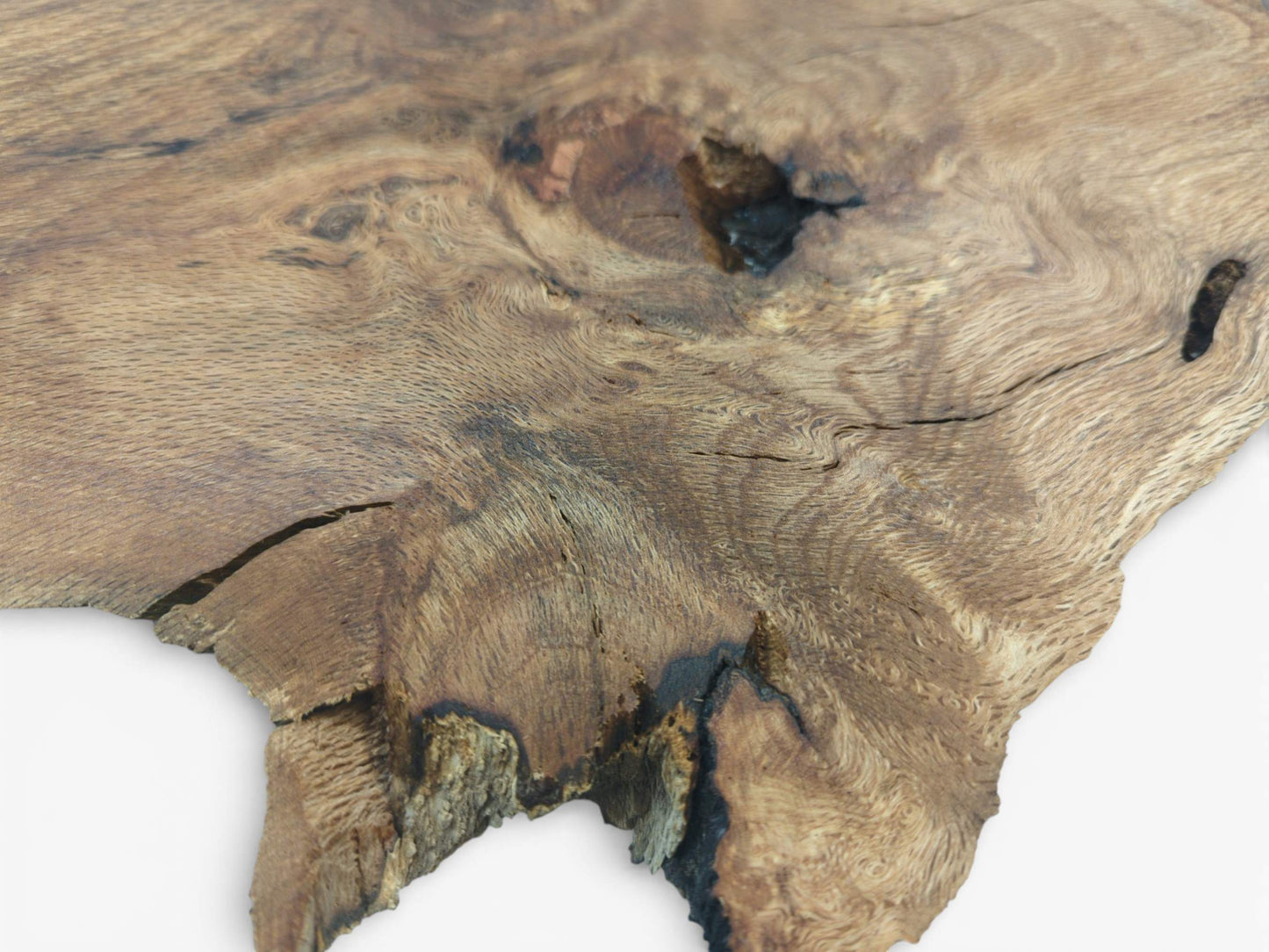 A close-up view of a raw oak piece with a strong, circular grain surrounding a dark knot.