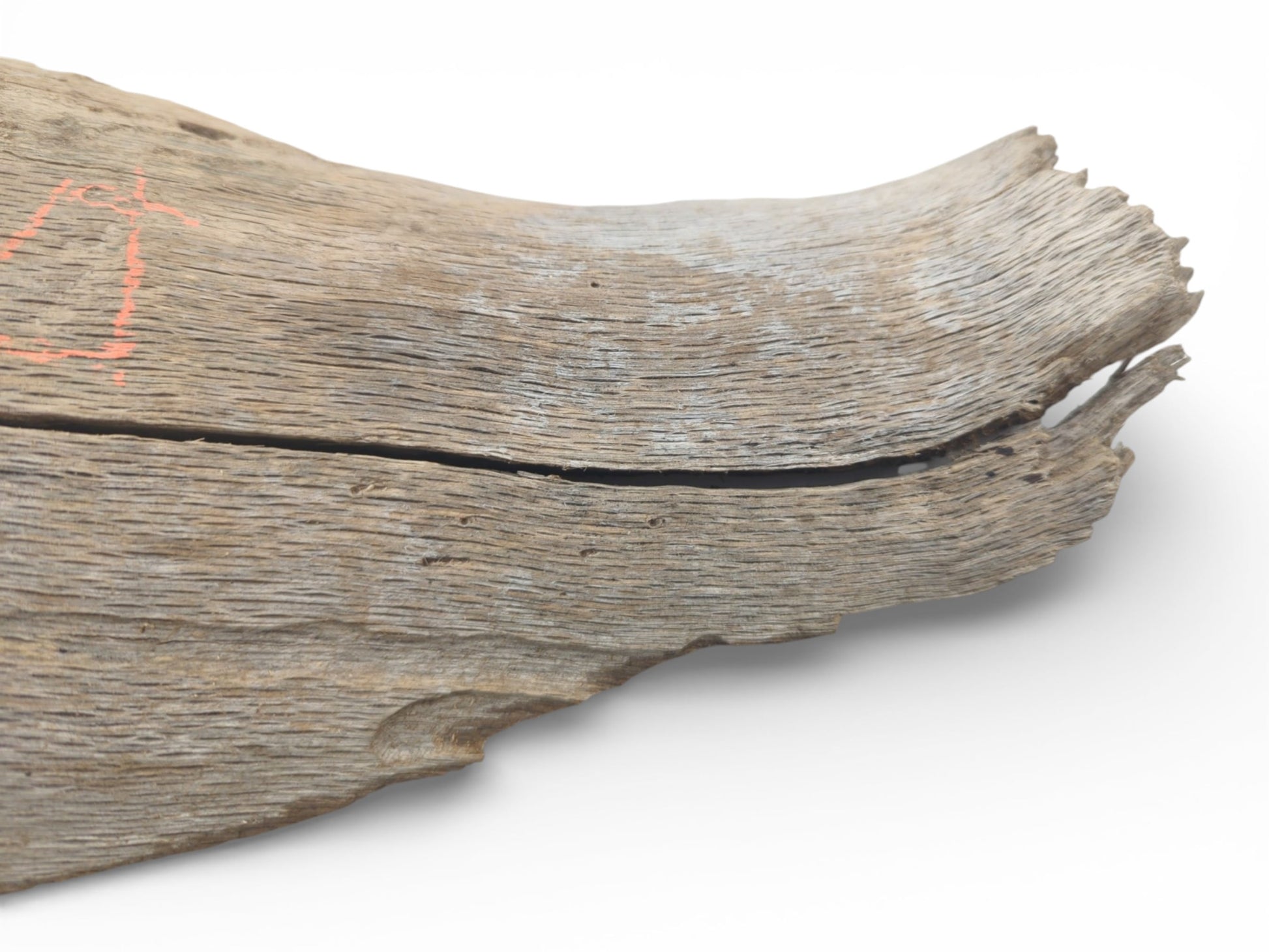 A weathered oak piece displays a deep horizontal fissure, linear grain, and a frayed, curving tip.