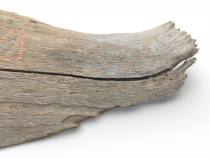 A weathered oak piece displays a deep horizontal fissure, linear grain, and a frayed, curving tip.