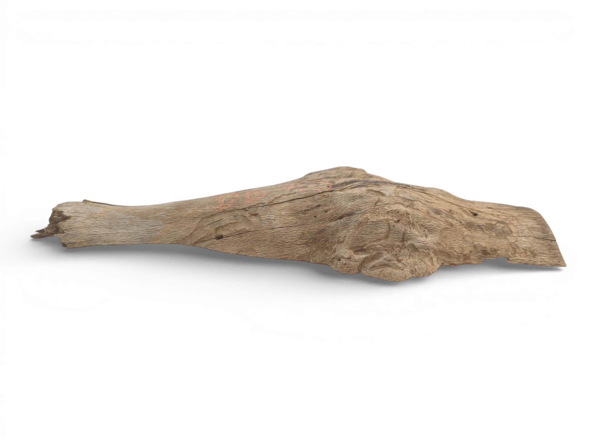 A side profile of a weathered, grey-brown oak piece showing a distinctive, gnarled burl formation.