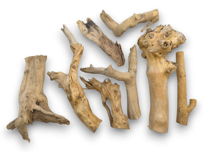 A flat-lay assortment of elderberry wood pieces, showcasing a variety of natural shapes, sizes, and tones.