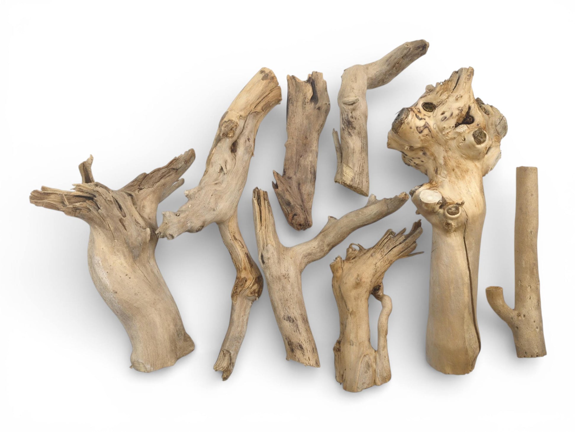 An overhead view of nine raw elderberry wood pieces showing various gnarled, forked, and straight shapes.