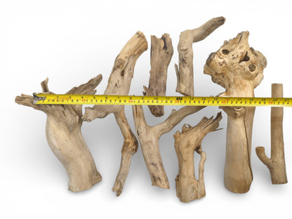 A grouping of light-tan elderberry root sections with a yellow tape measure providing a size reference.