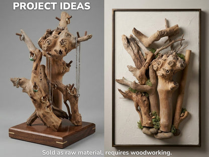 Collage with text showing two finished projects: a gnarled wood jewelry stand and framed wall art.