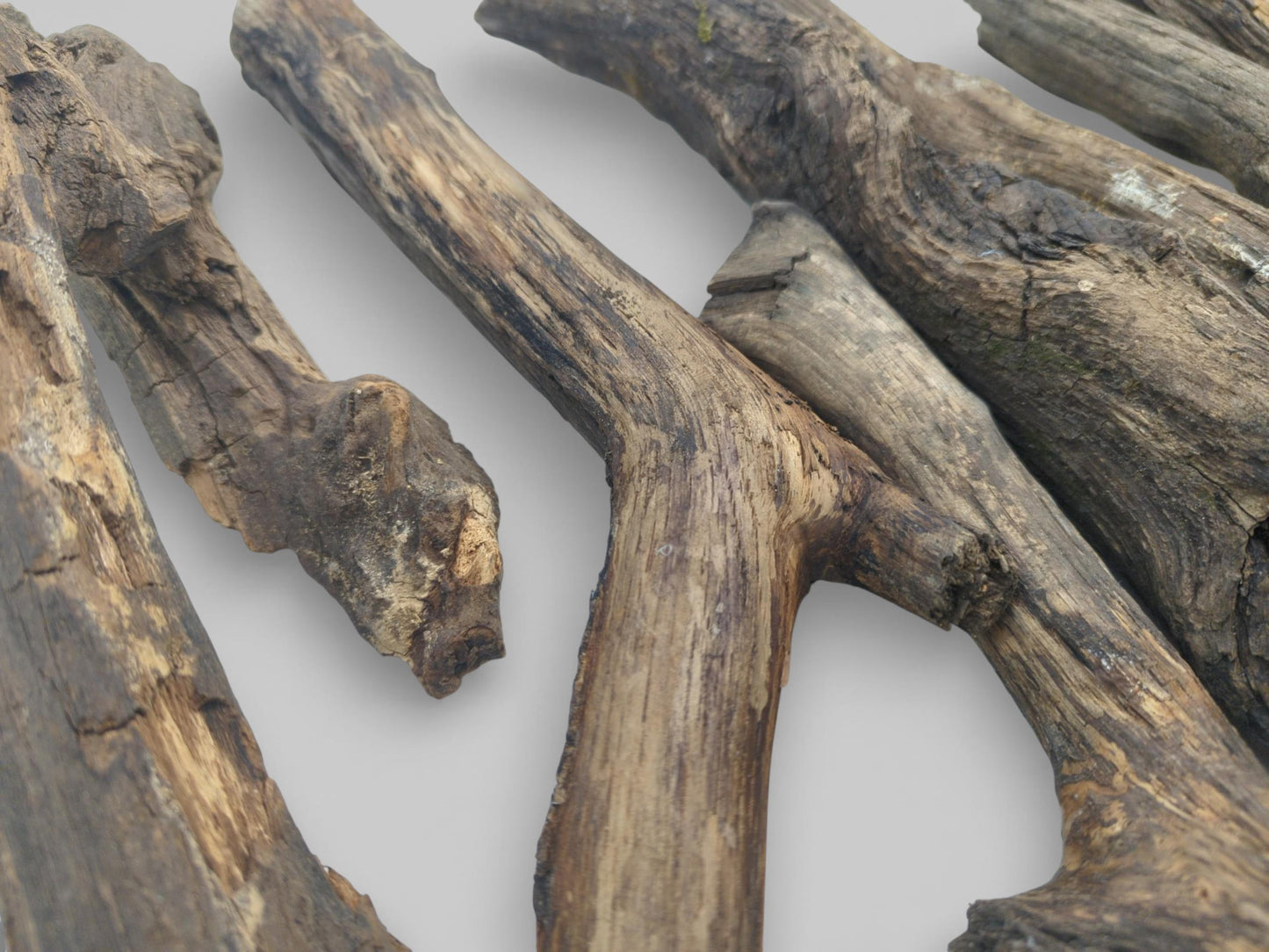 A close-up of several intersecting, bark-free branches, showing their varied textures and forked, natural shapes.
