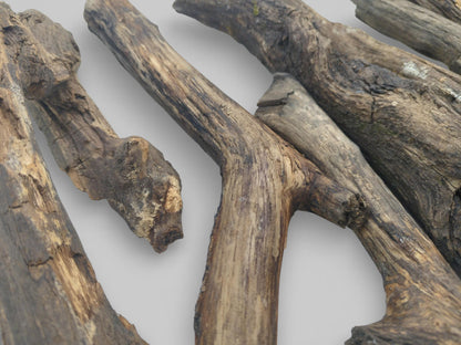 A close-up of several intersecting, bark-free branches, showing their varied textures and forked, natural shapes.