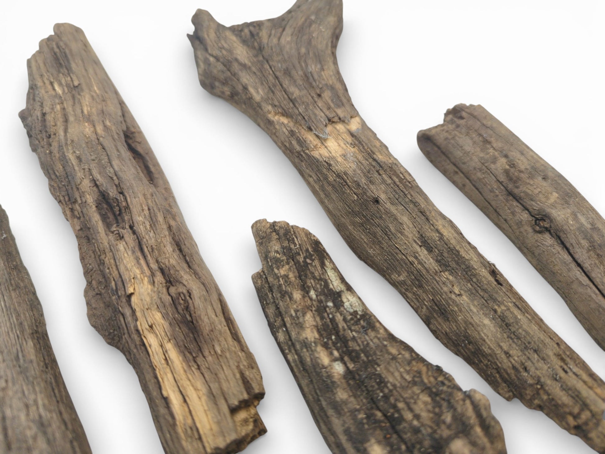 A diagonal composition featuring several raw, brown wood sticks with heavily grooved and uneven surfaces.