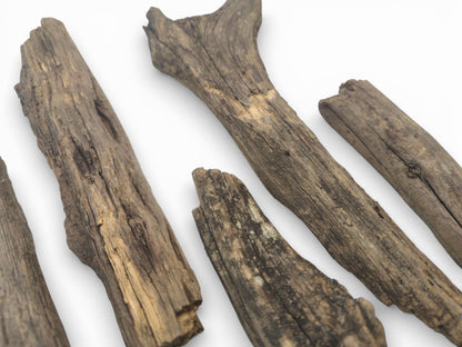 A diagonal composition featuring several raw, brown wood sticks with heavily grooved and uneven surfaces.