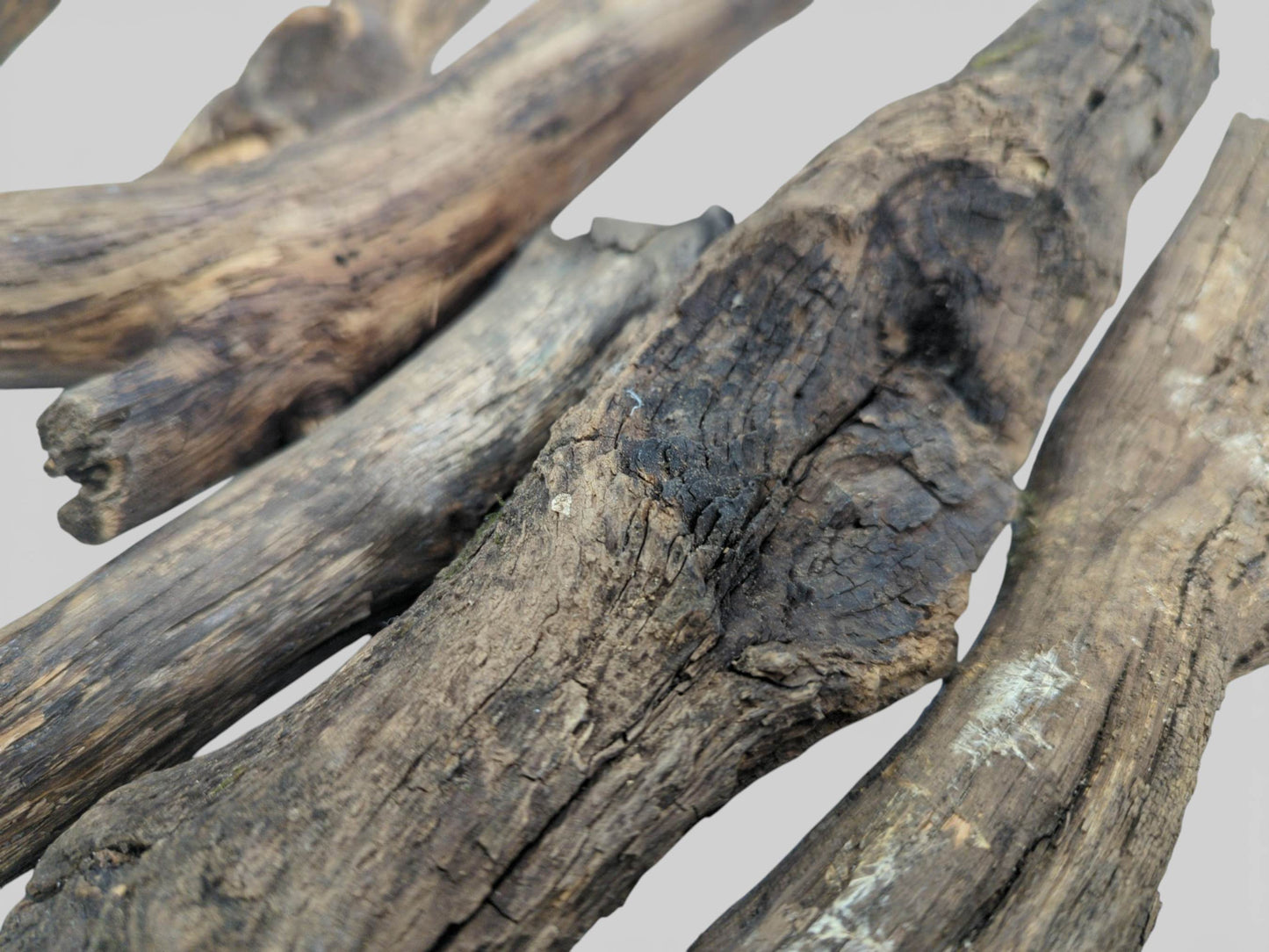 A tight, angled shot focusing on the coarse, split texture of several dark, weathered wooden limbs.