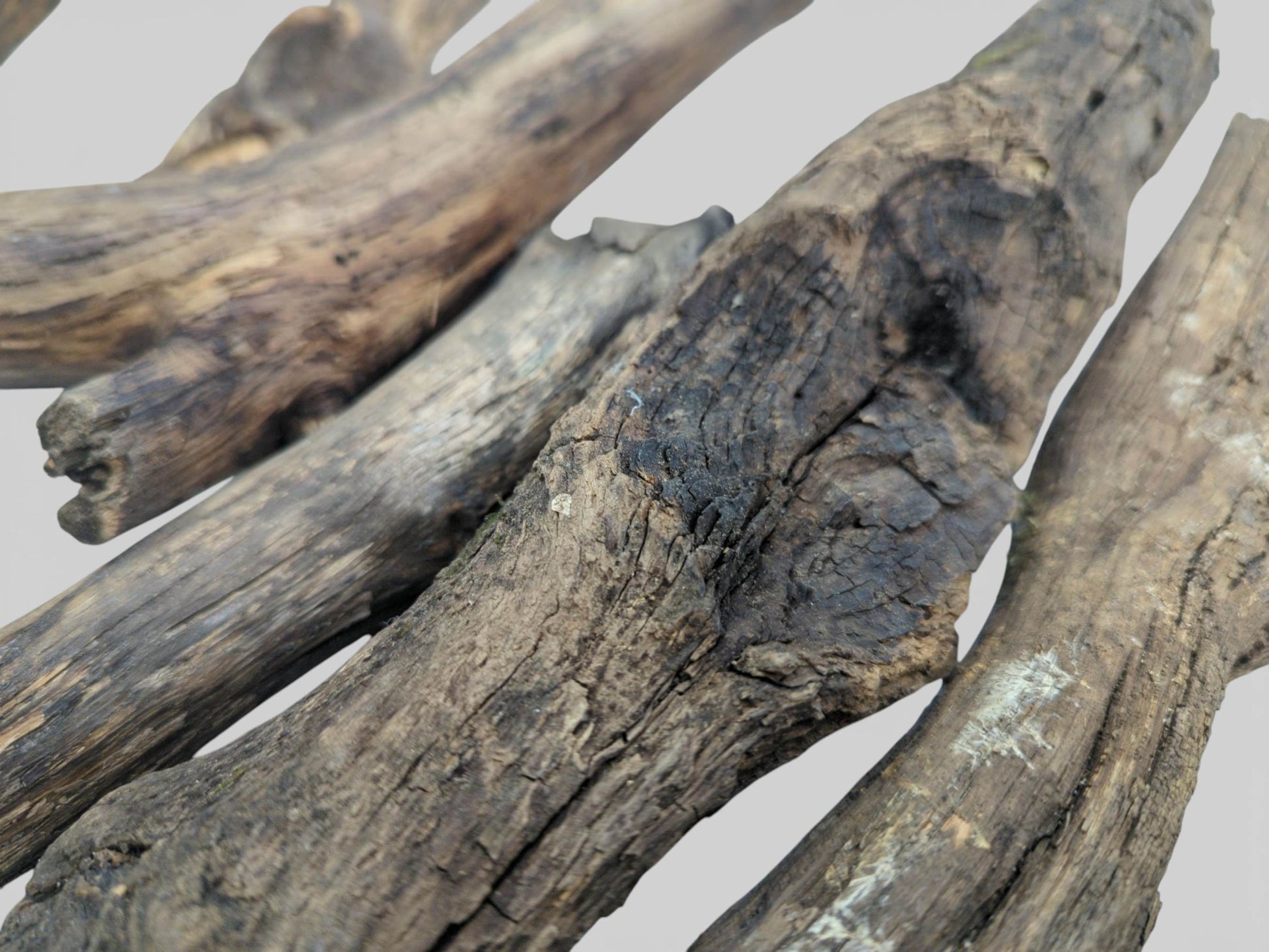A tight, angled shot focusing on the coarse, split texture of several dark, weathered wooden limbs.