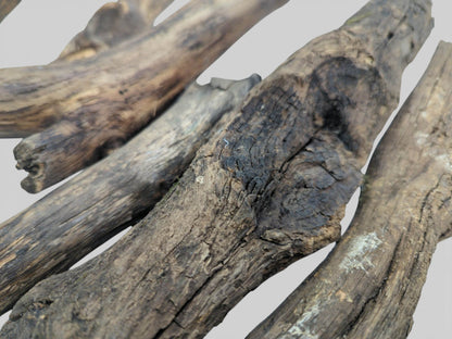 A tight, angled shot focusing on the coarse, split texture of several dark, weathered wooden limbs.