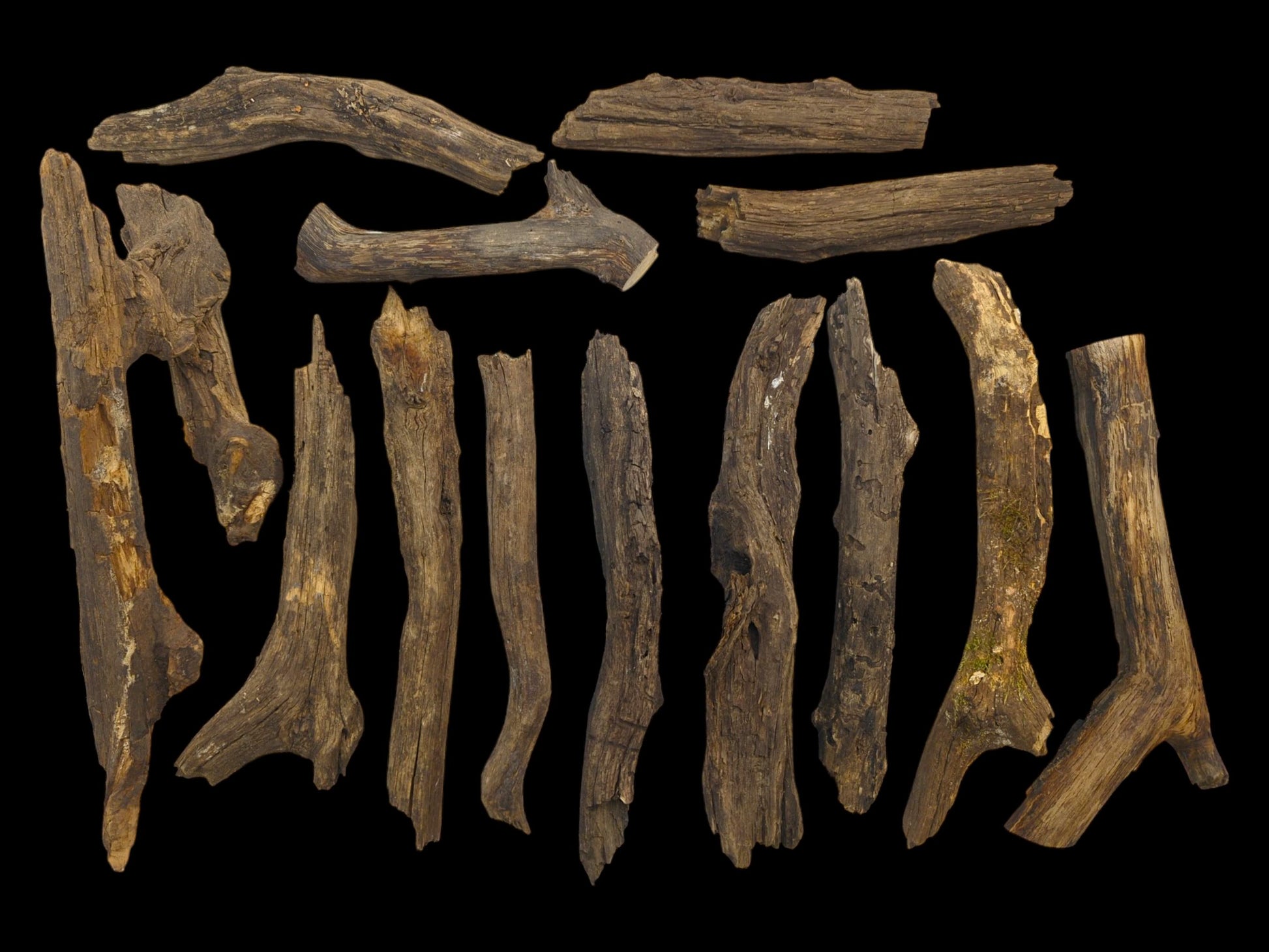 A full inventory of aged, bark-free wood branches showing their varied gnarled forms and textures.
