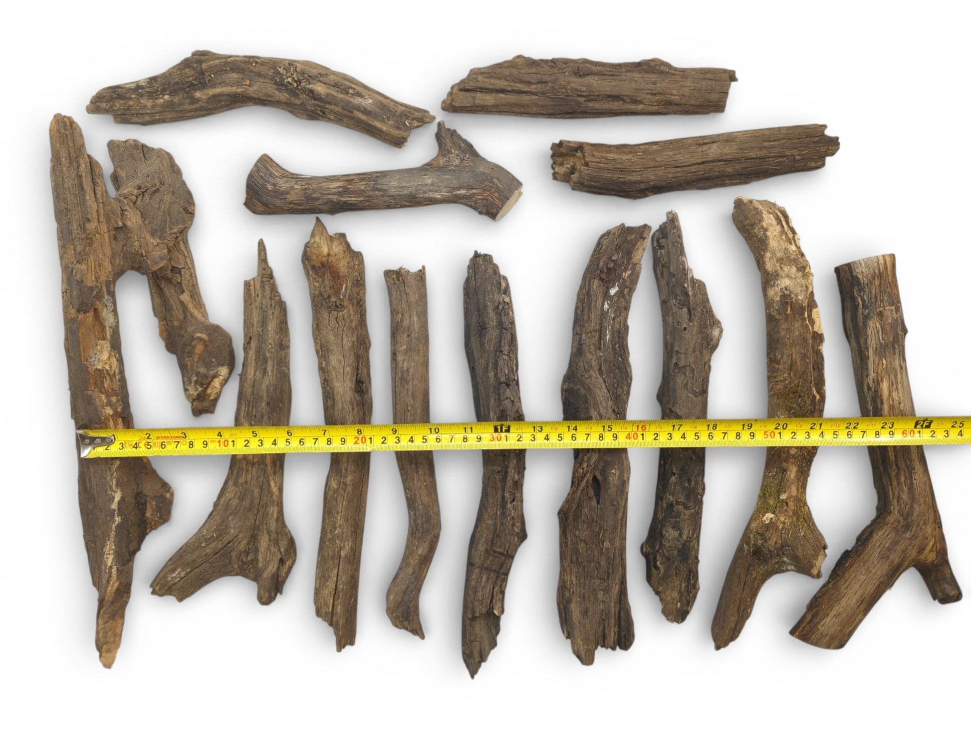 An overhead photograph of various aged wood fragments with a measuring tape placed across them for reference.