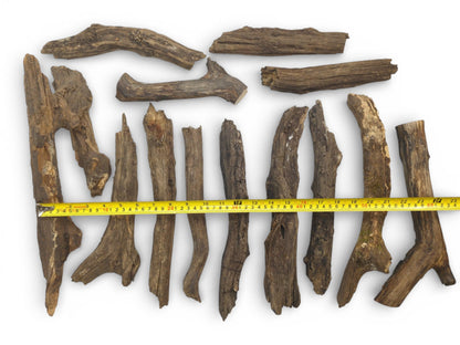 An overhead photograph of various aged wood fragments with a measuring tape placed across them for reference.
