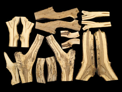 A top-down layout of raw, split wood pieces featuring organic shapes and contrasting grain details.