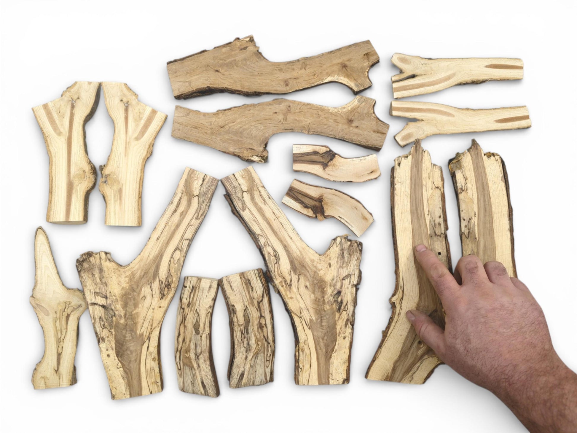 A hand indicates the interior grain of one piece among several laid-out split wood branches.