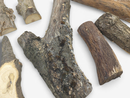 A scattered collection of halved tree branches shows both rough bark exteriors and smooth, cut sides.