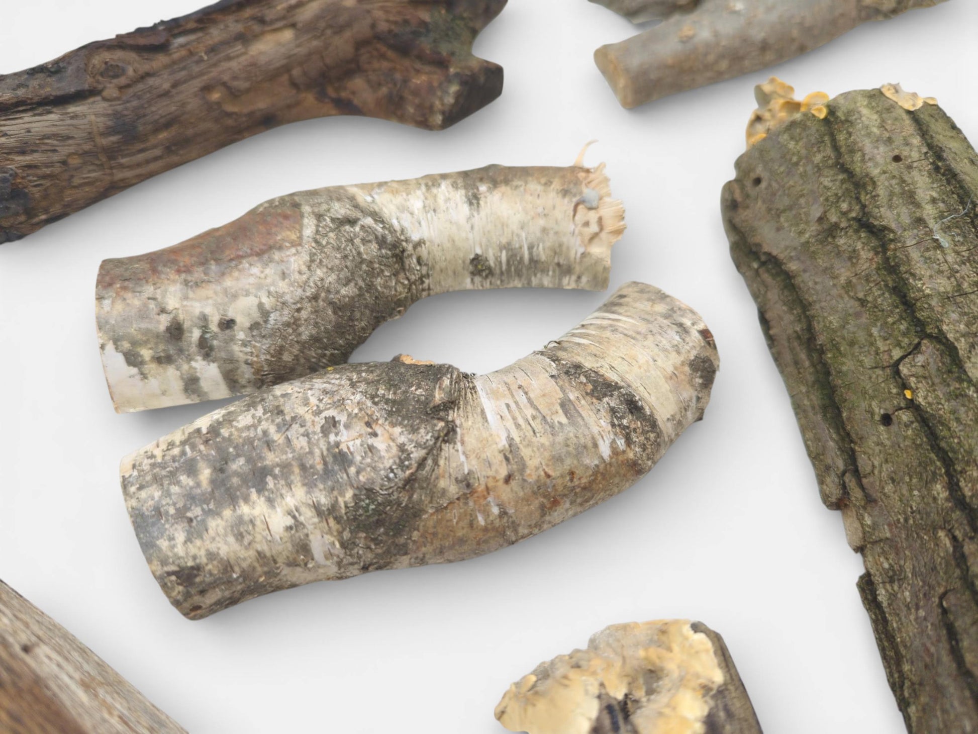 An assortment of raw branch sections, contrasting mottled birch-like bark with rougher, dark brown bark.