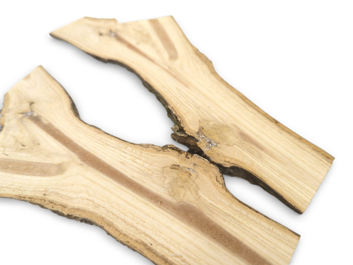 An angled view of two split branch pieces with raw bark edges and a dark central pith.